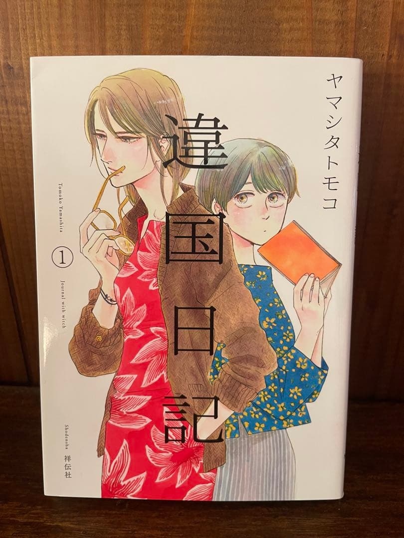 美品⭐︎全11巻違国日記