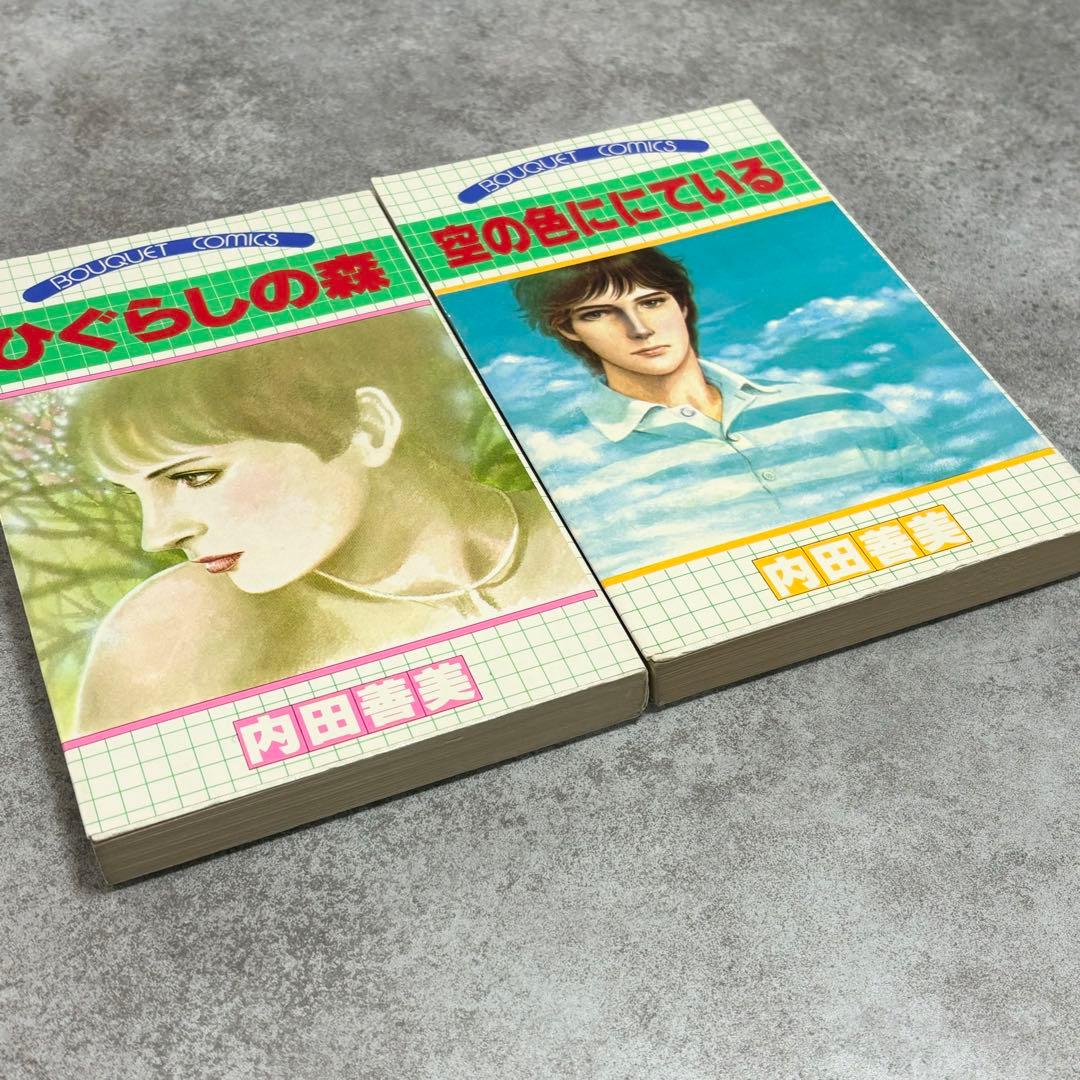 内田善美 2冊セット ひぐらしの森 空の色ににている ぶーけ レトロ