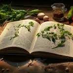 cookery book